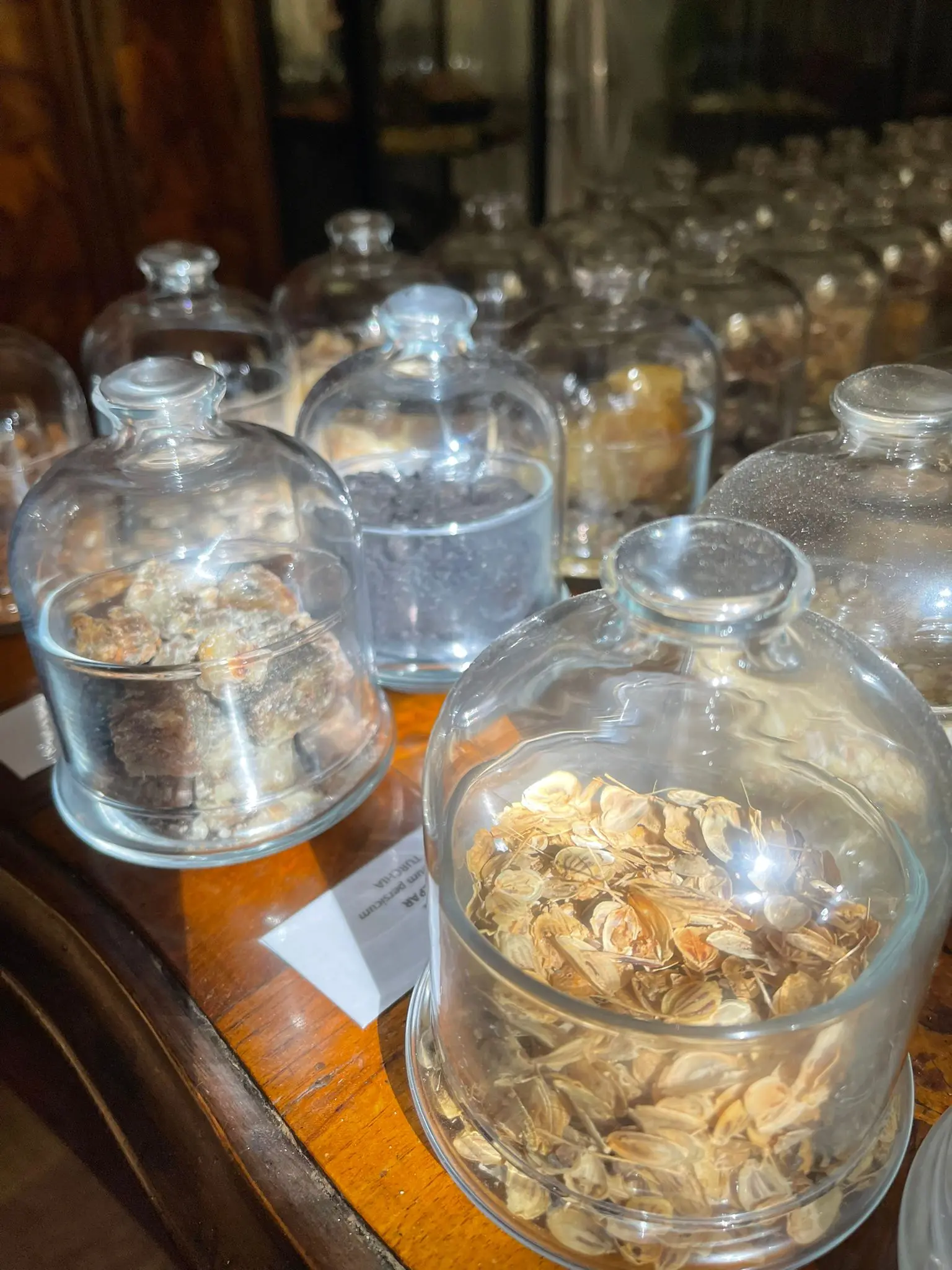 aromatic venice experience