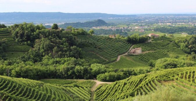 prosecco hills