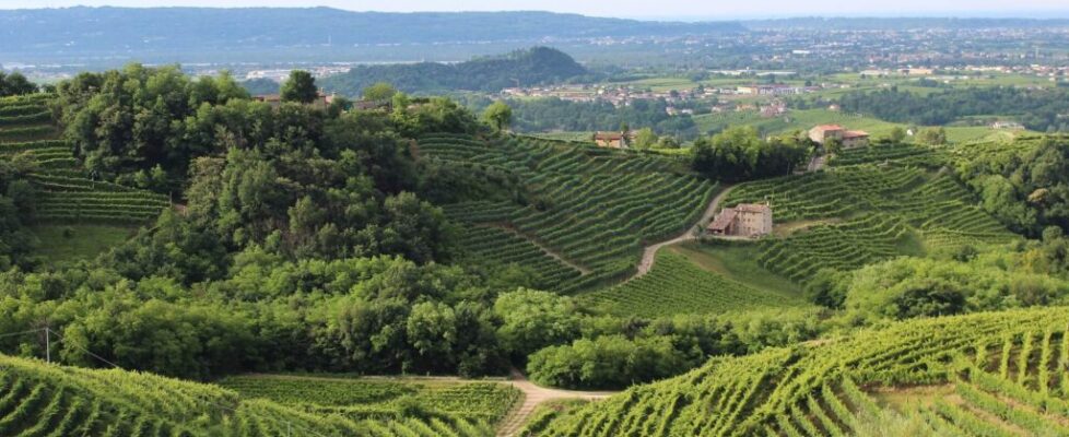 prosecco hills