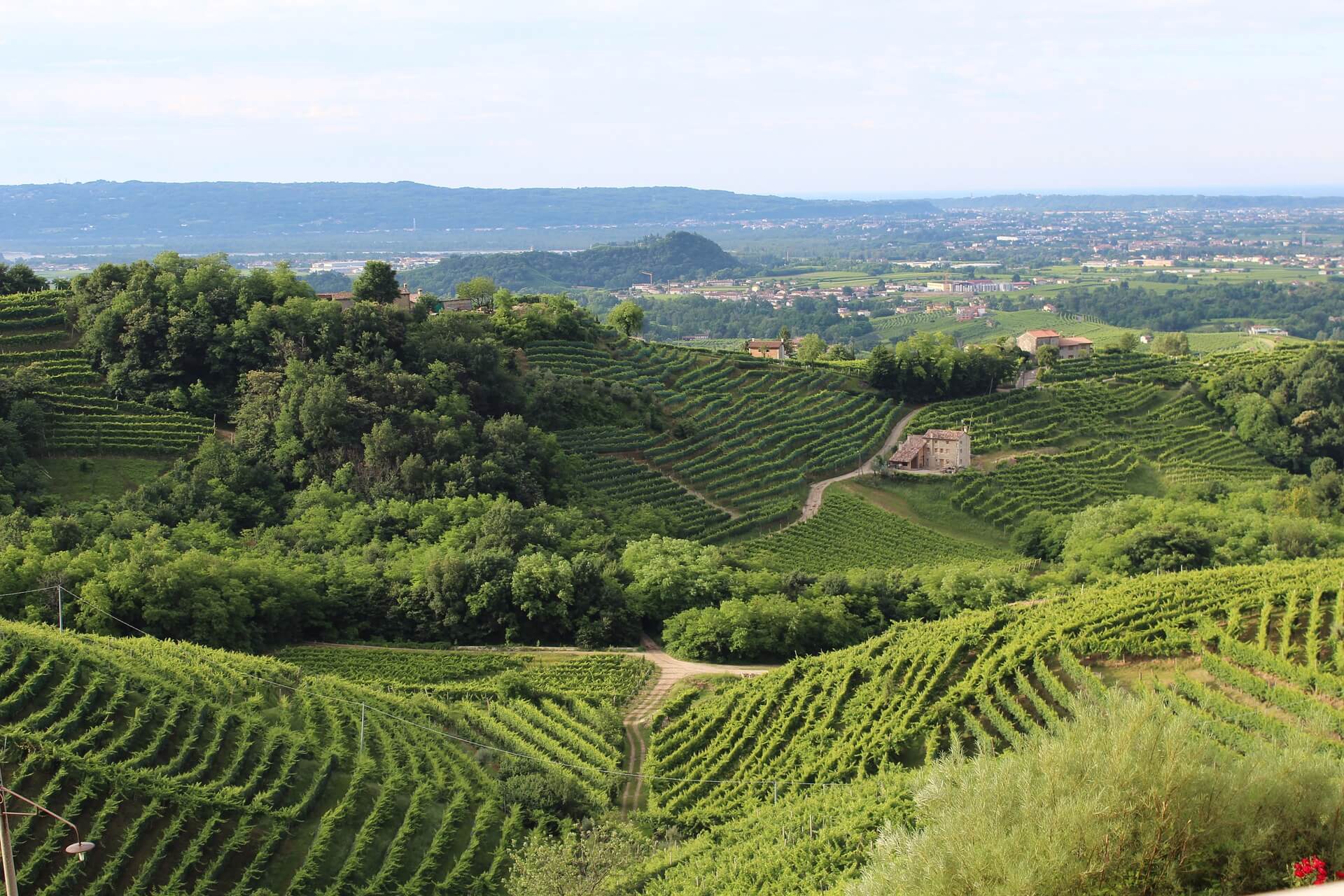 prosecco hills