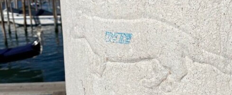 rat in venice graffito