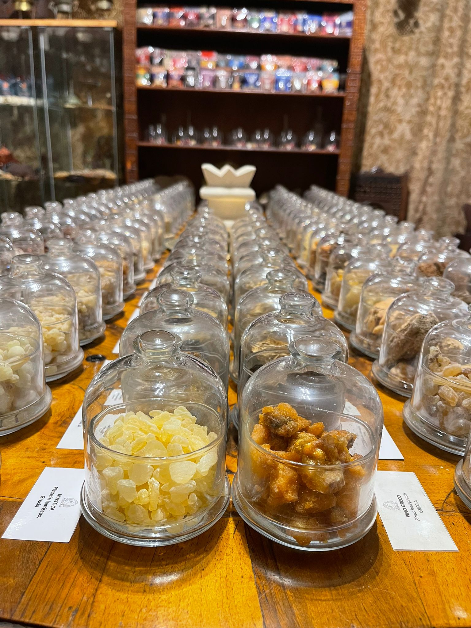 WhatsApp Image 2025 11 20 at 21.16.00